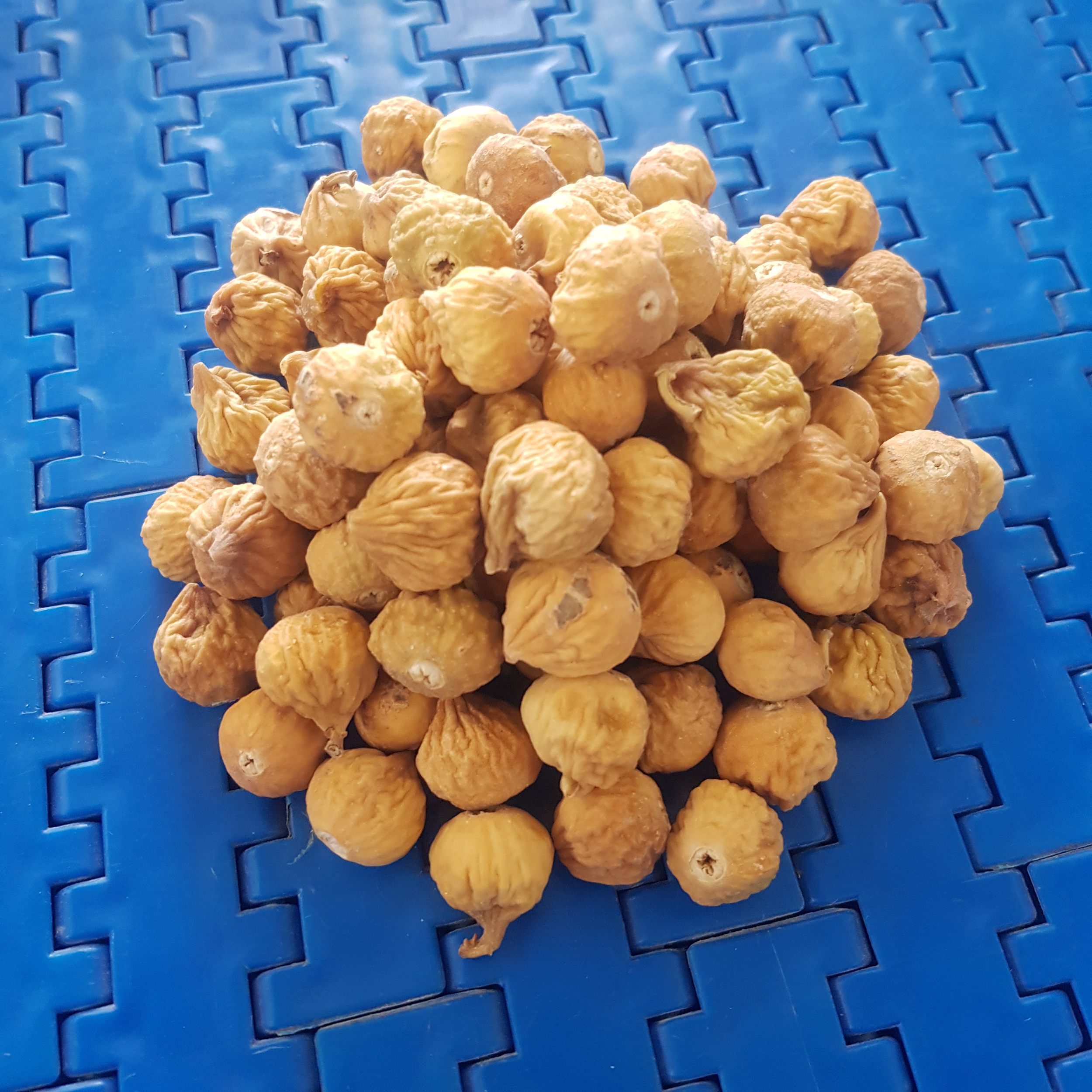 Grade B dried figs, Estehban Mehr Mehdi - 10 kg - Image 3