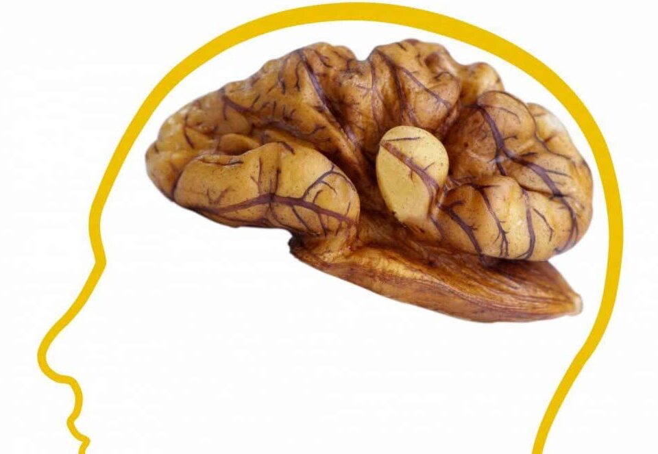 How Nuts Can Boost Brain Function