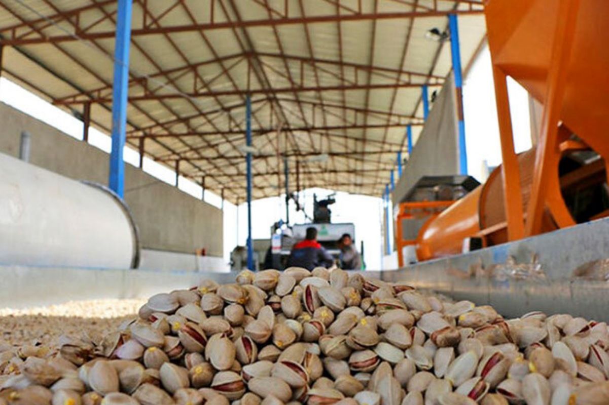 Iranian dry fruit export