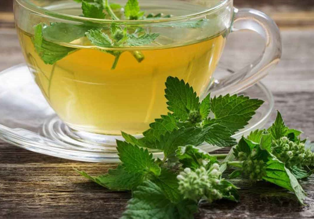 Lemon Balm Tea