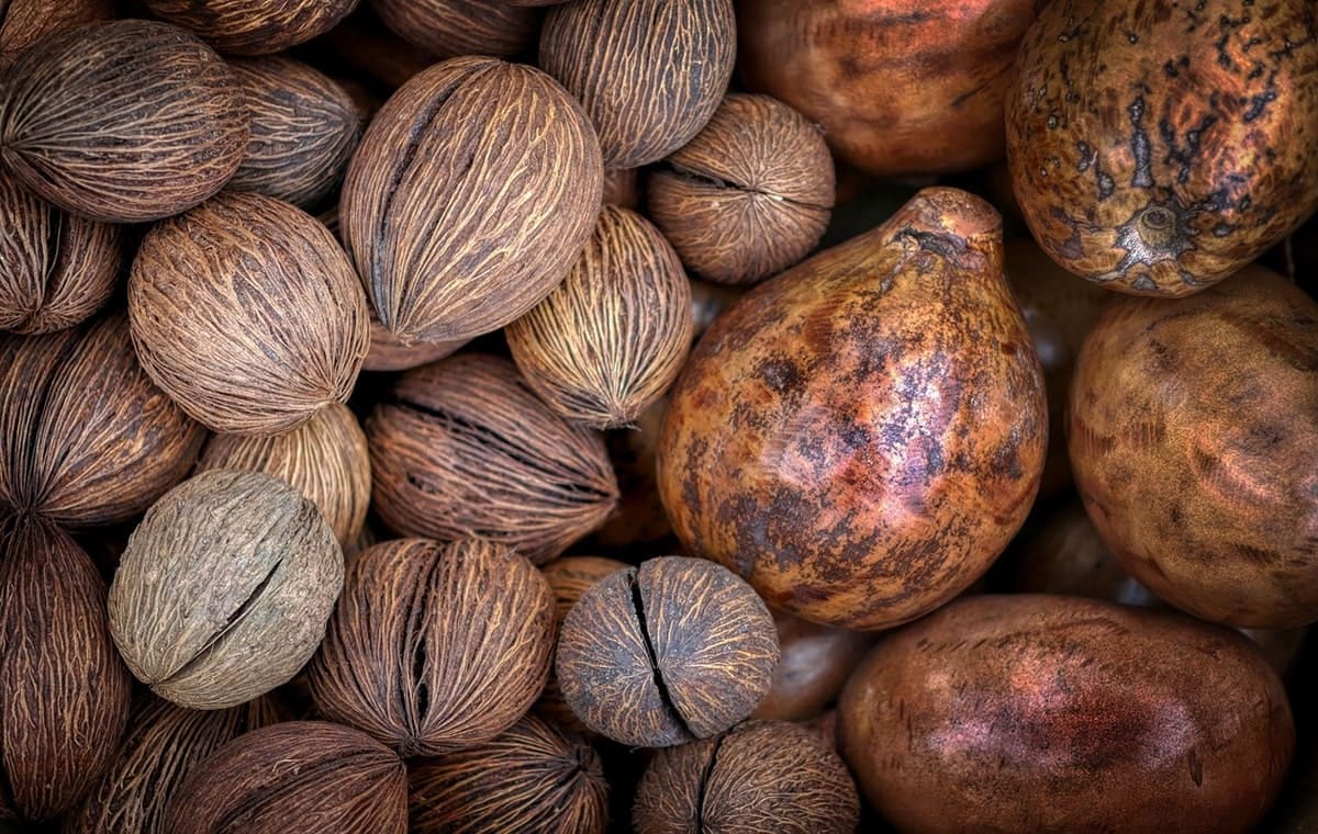 Nutmeg (Joz-e-Hindi)