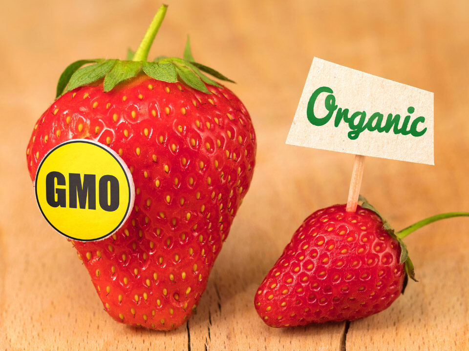 Organic vs. Non-Organic