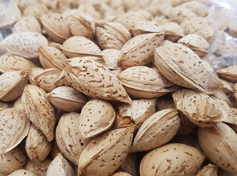 Persian Almonds