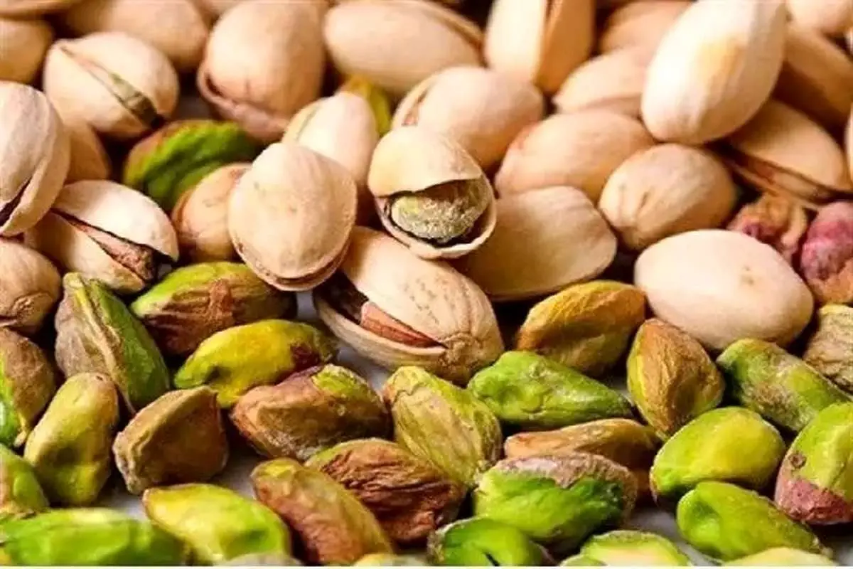 Persian Pistachio