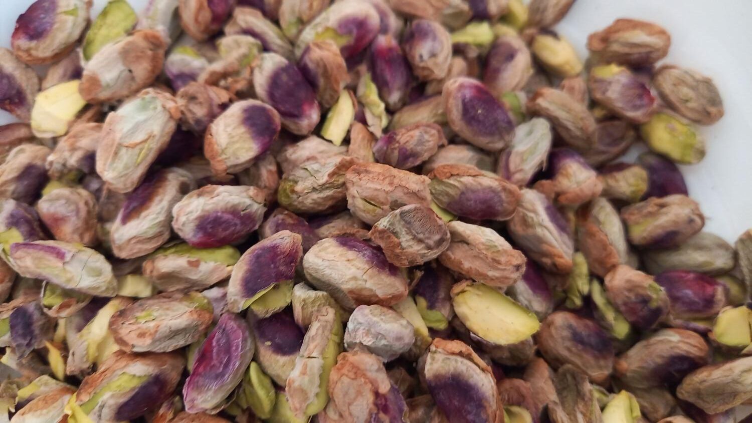 Persian Pistachio