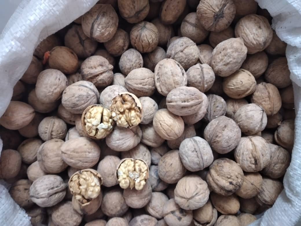 Persian Walnuts