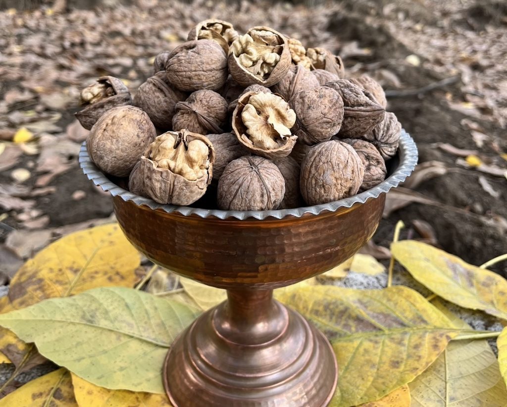 Persian Walnuts