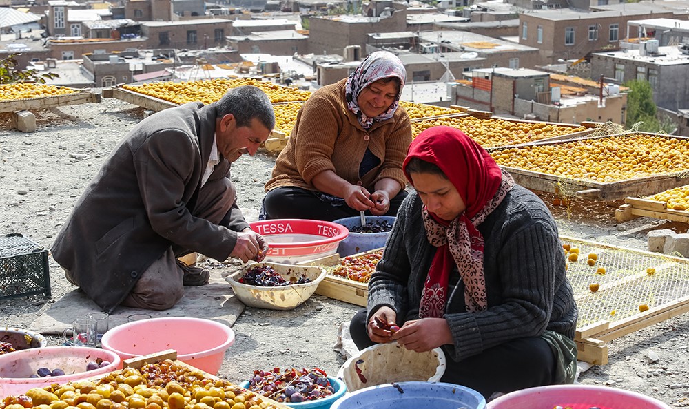 The Art of Drying Fruits in Iran