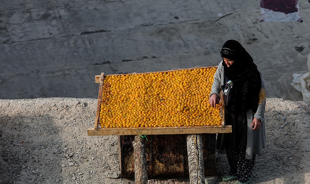 The Art of Drying Fruits in Iran