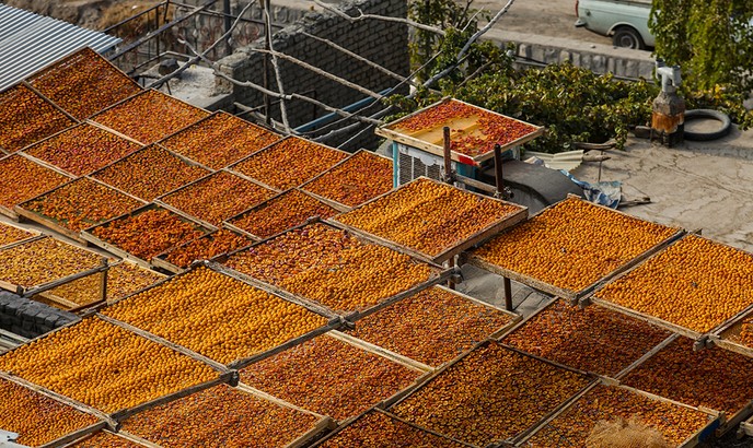 The Art of Drying Fruits in Iran