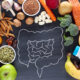 The Connection Between Dried Fruits and Gut Health